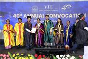 VIT 4 (240)